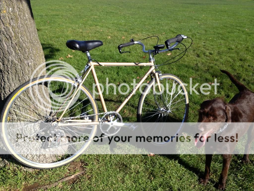 Brake levers on moustache bars Bike Forums